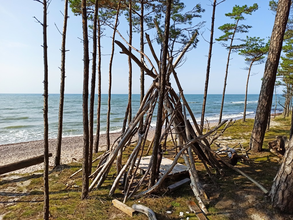 Freehiking on a Baltic Coast: Ventspilis - Klaipėda. Both Lithuanians and Latvians seems to be handy with sticks (somewhere close to Klaipėda)