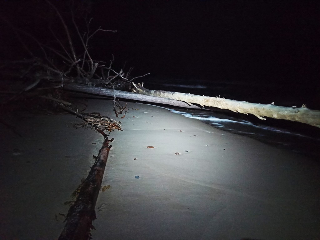 Freehiking on a Baltic Coast: Ventspilis - Klaipėda. Night trail with obstacles