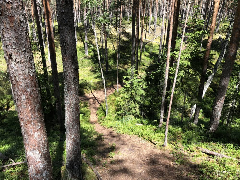 Ancient dunes in Latvia