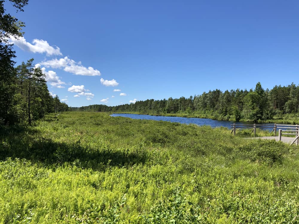 Hiking in Latvia: Pēterezers Nature Trail