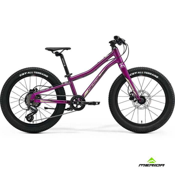 Bicycle Merida MATTS J 20+ purple