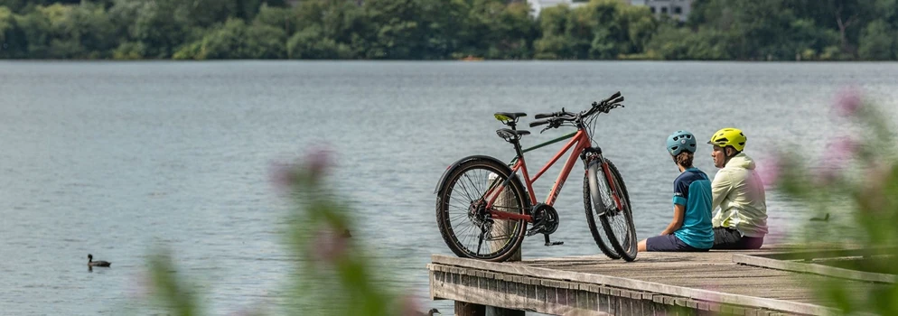 Cross hybrid bicycles